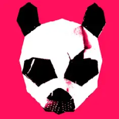 Pink Panda — фото артиста