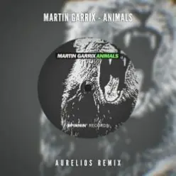 Martin Garrix — Animals (Aurelios Remix)