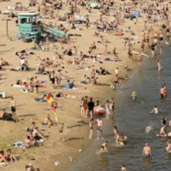 Нікіта Кісельов — Чайка