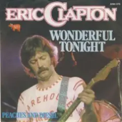 Eric Clapton — Wonderful Tonight