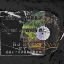 Dj Stp, Ragga Stevie G — Pass The Weed