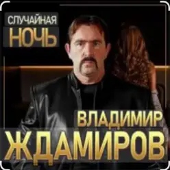 Владимир Ждамиров — Случайная ночь