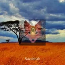 Savannah — Day After Day & Night