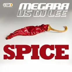 Megara vs. DJ Lee — Spice (Single Edit)