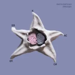 Кассиопея — Мышцы головы