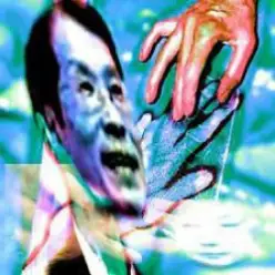 Yabujin — VIRTUAL BIRDS