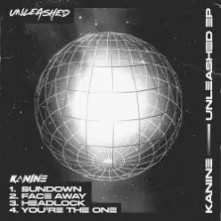 Kanine feat. A Little Sound — Face Away