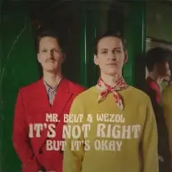 Mr. Belt & Wezol — It's Not Right (But It's Ok)