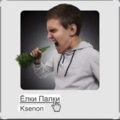 Ksenon — Ёлки-палки