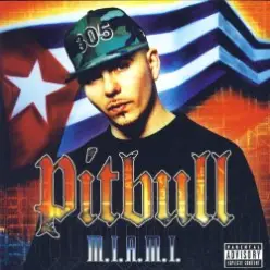 Pitbull ft. Lil Jon — Culo