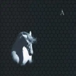 Аквариум — Аригато