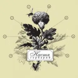 Владимир Шахрин ft. Настя Полева — Всему свое время