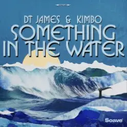 DT James & Kimbo — Something In The Water