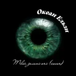 Океан Ельзи - Твої зелені очі (Afro House cover)