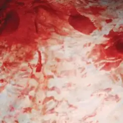 Salem — Better Off Alone