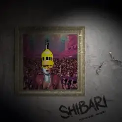 S H I B A R I — Лучшие люди