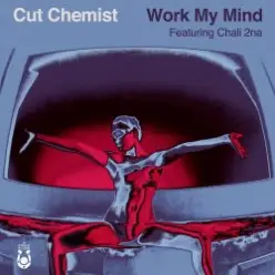 Cut Chemist — Storm