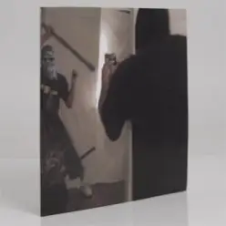 DJ Stingray 313 — Image Search