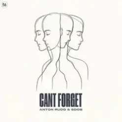 Anton Rudd & Sdob — Cant Forget
