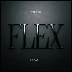 Tiesto & Oscar L — Flex