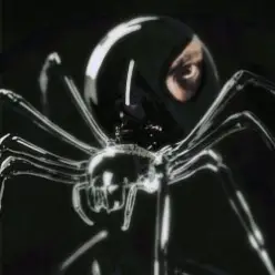 Dubinin — Чёрная вдова