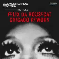 Felix Da Housecat — What Does It Feel Like
