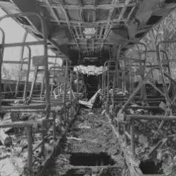 Son, Fire! - Град обреченный