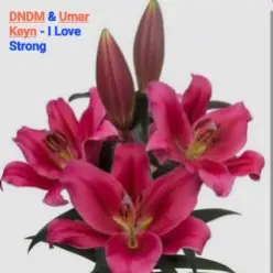 DNDM & Umar Keyn — I Love Strong