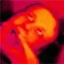 Плед — Вторник