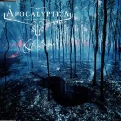 Apocalyptica Feat. Lauri Ylönen - Life Burns