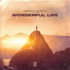K3YN0T3 & T3CHN0T3 — Wonderful Life