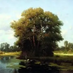 Льонок — Шумiла сосна i явiр