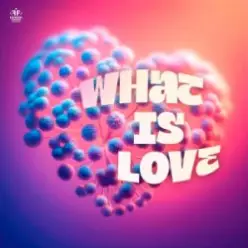 SYNFLO & Niki Four — What Is Love