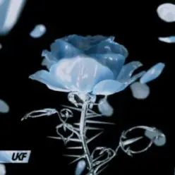 Synergy & RIENK - Stay