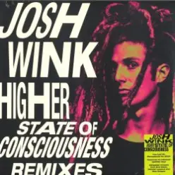 Josh Wink - Higher State Of Consciousness