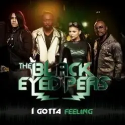 Black Eyed Peas - I gotta feeling (David Quettas Fack Im Famous remix)