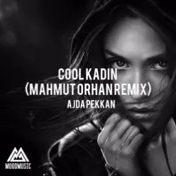Ajda Pekkan - Cool Kadın (Mahmut Orhan Remix)