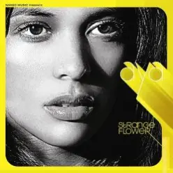 Aya — Looking for the Sun