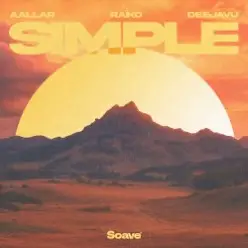 AALLAR & Raiko & DeeJaVu - Simple