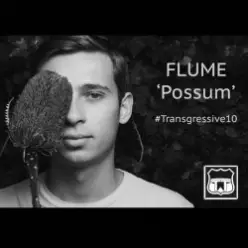 Flume — Possum