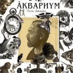 Аквариум — Ангел дождя