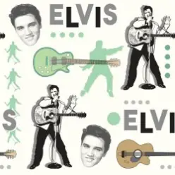 Elvis Presley - Such a Night