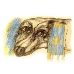 Dolphin — Романс