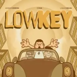 Tujamo & Adnan Veron & Erga — Lowkey (with Liquid Silva)
