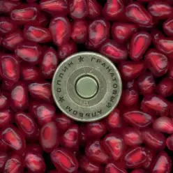 Сплин — Приходи