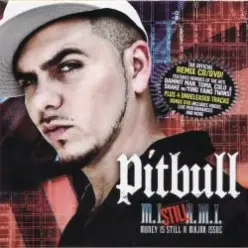 Pitbull ft. Lil' Flip — Dammit Man (Remix)