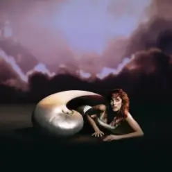 Charlie Motto — Citadelle