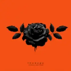 kavabanga Depo kolibri — Троянди