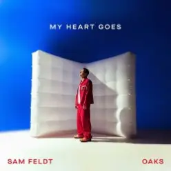 Sam Feldt — Been A While