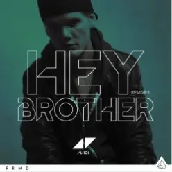 Avicii — Hey Brother (Syn Cole Remix)
